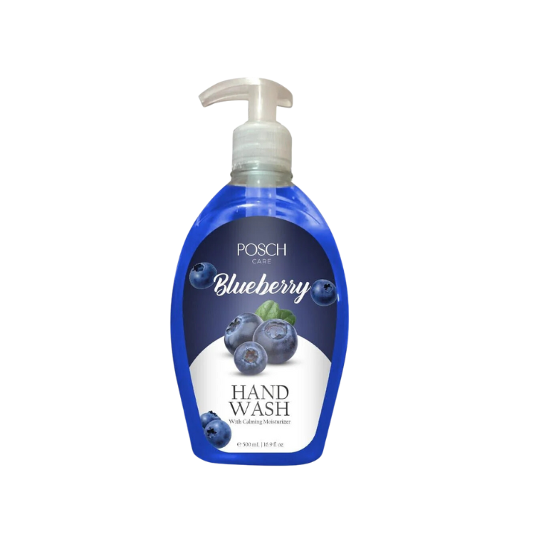 Posch Care Hand Wash 500ml Blue Berry