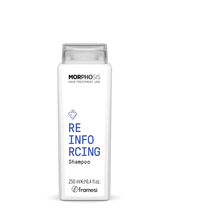 Framesi - Morphosis Color Protect Shampoo - 1000ml