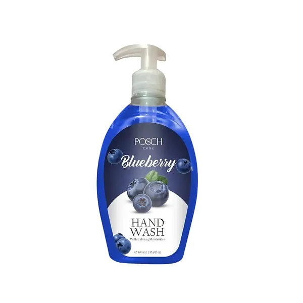 Posch Care Hand Wash 500ml Blue Berry