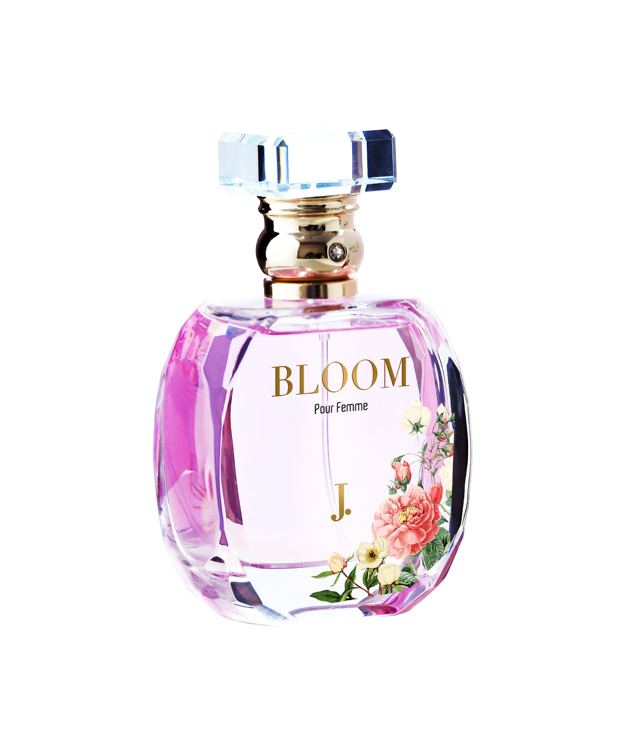 J. BLOOM