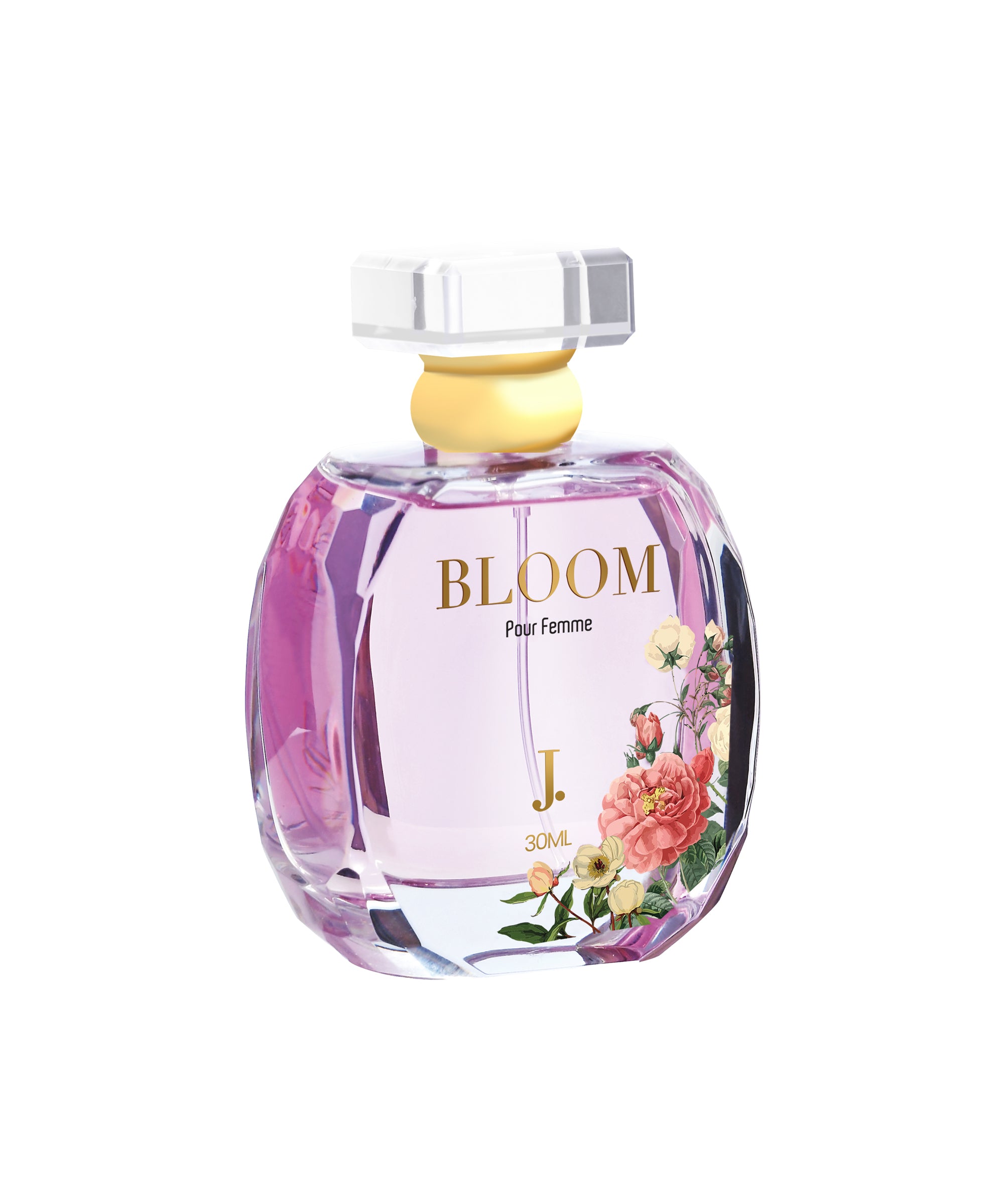 J. BLOOM