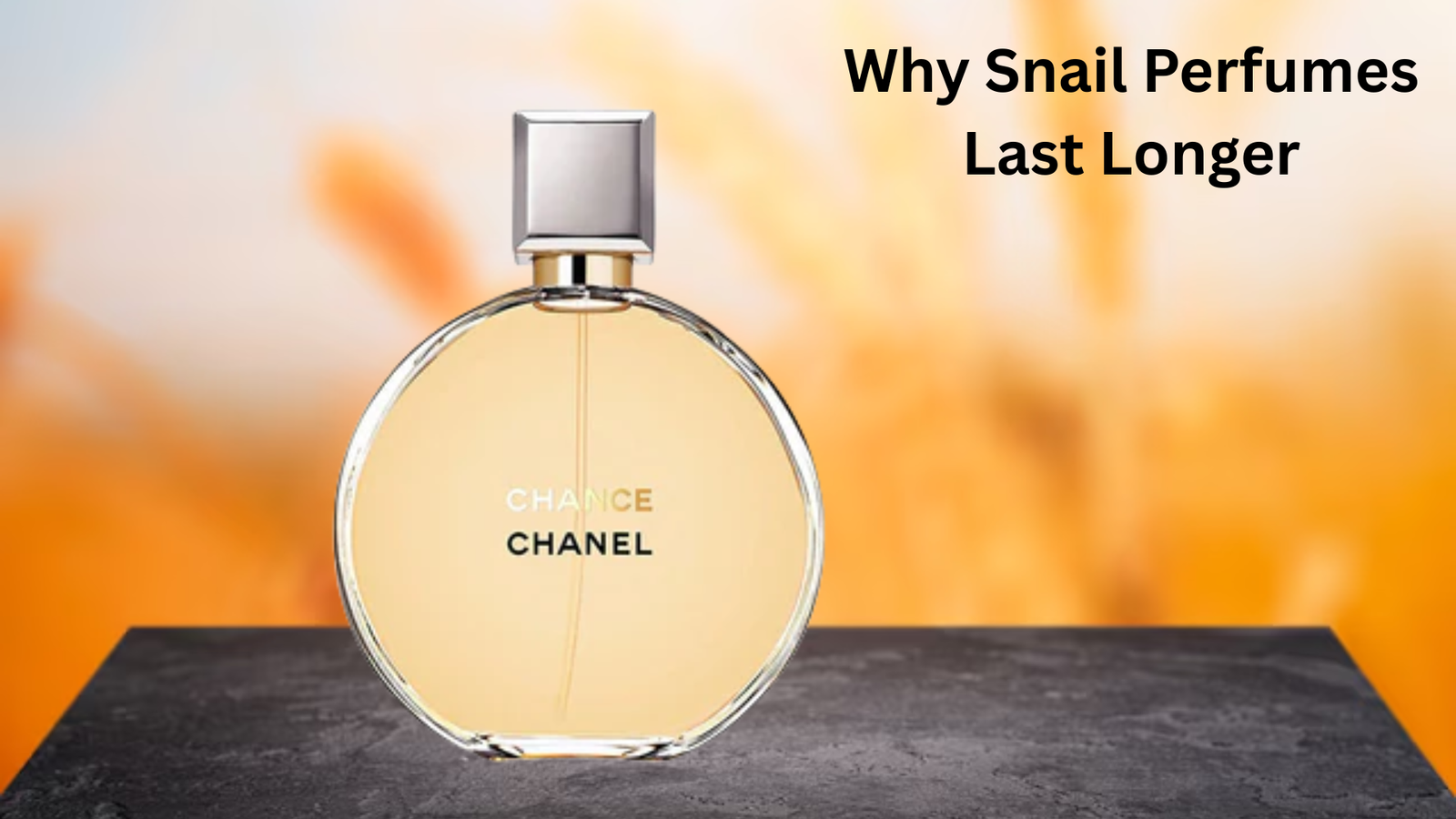 Why Snail Perfumes Last Longer