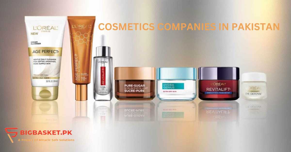 Cosmetics Companies in Pakistan 2024 | BigBasket.PK